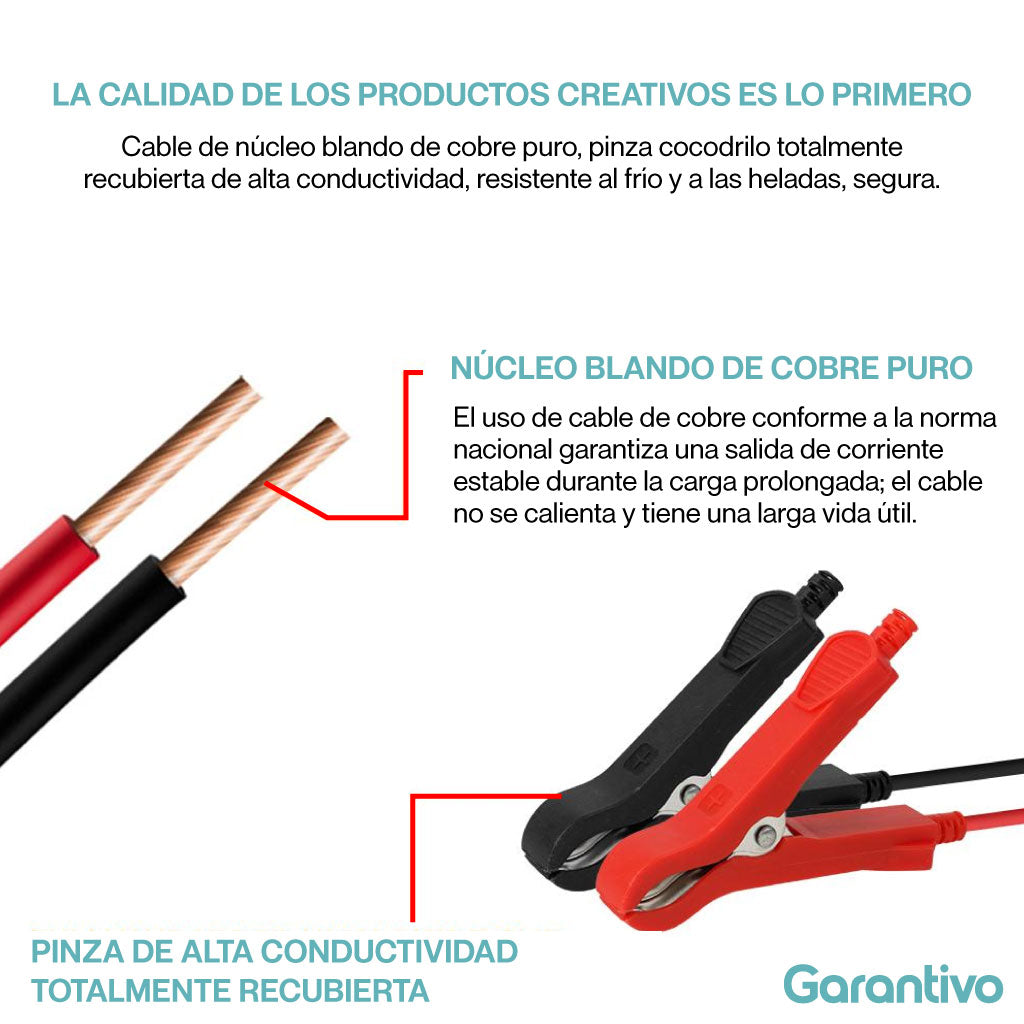 Cargador de baterías automático inteligente y versátil (12V)